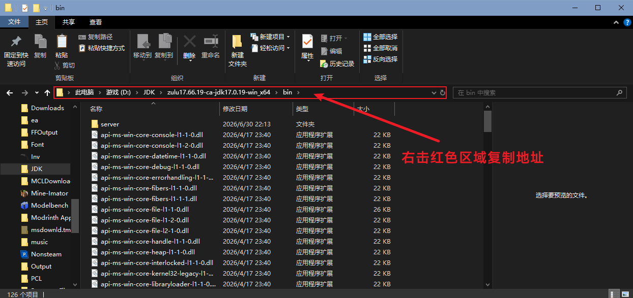 Zulu 17 JDK 目录