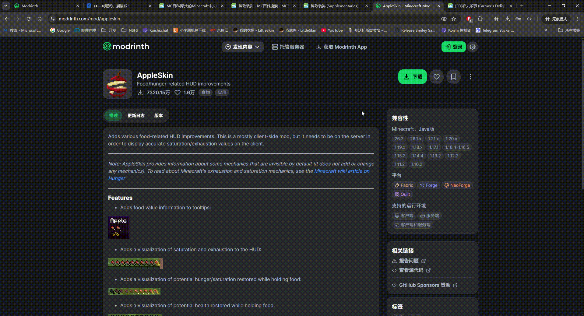 下载 AppleSkin 模组的示例,不得不说这动画真好看