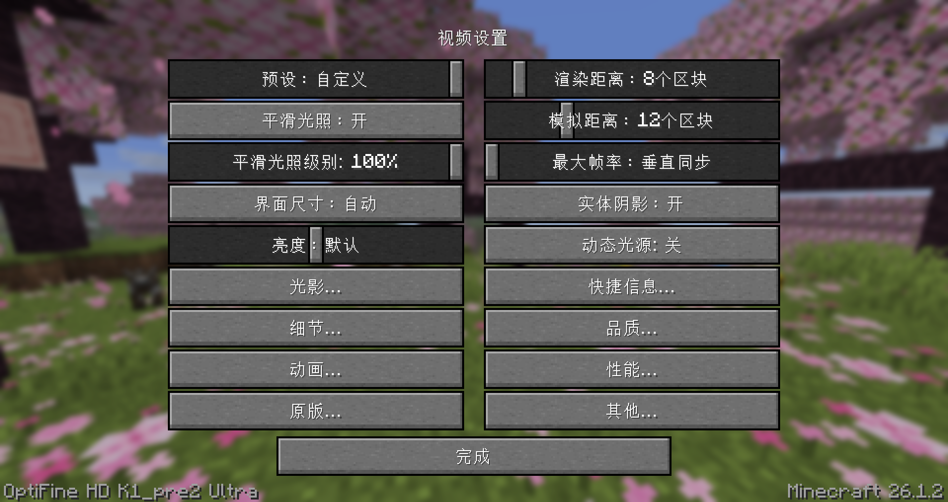 OptiFine 提供的视频选项(游戏版本:26.1.2)